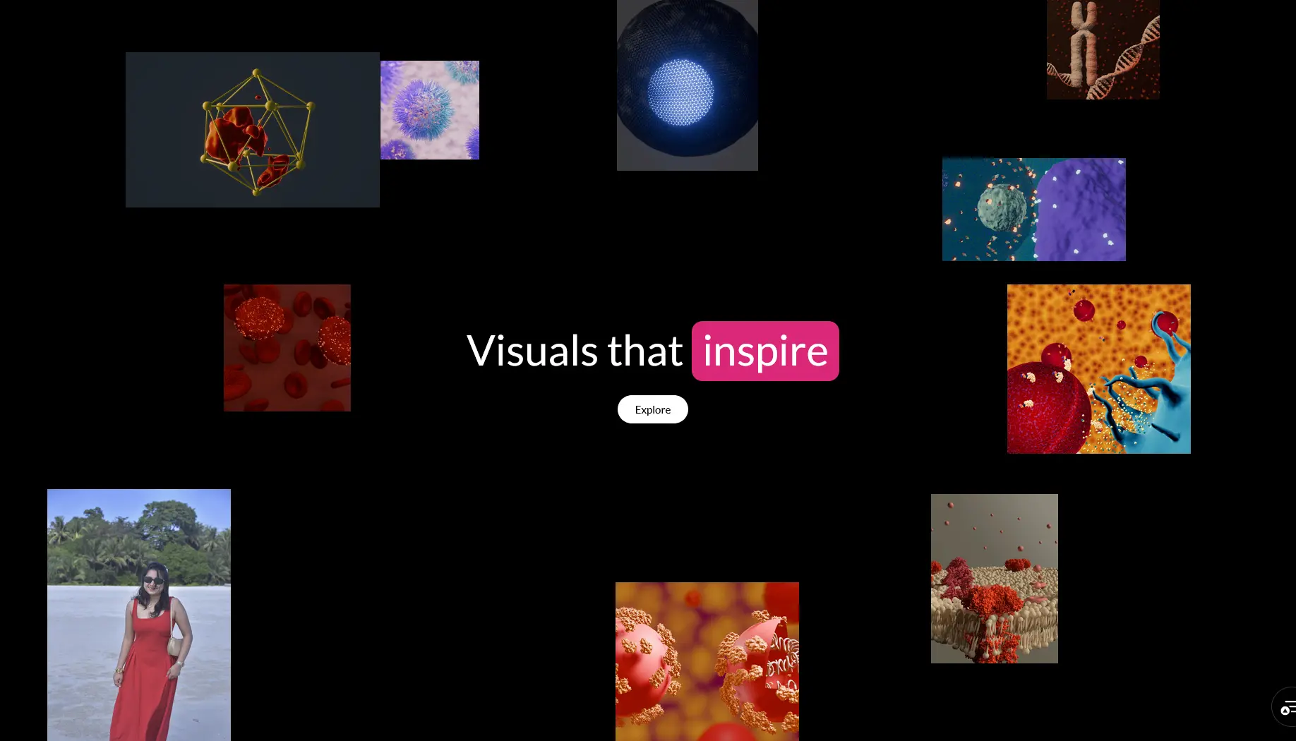 scientific illustrator portfolio